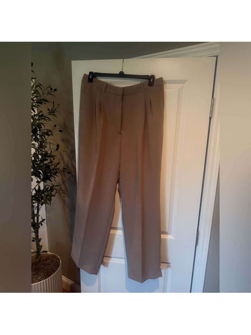 Aritzia Taupe High-Rise Pleated Wide-Leg Trousers